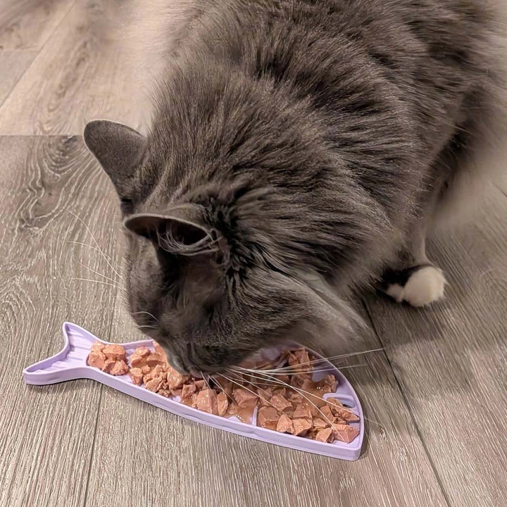 Goldfish Enrichment Lick Mat for Cats