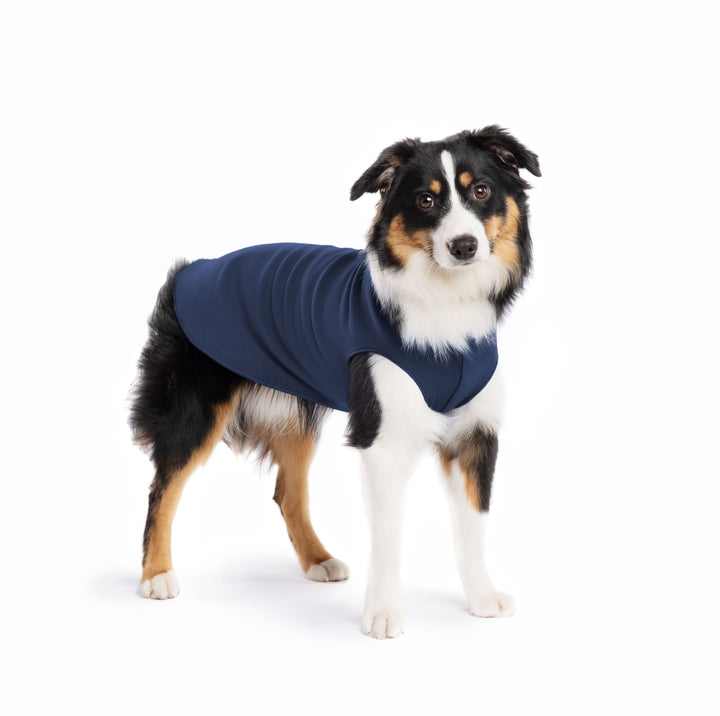 Gold Paw Stretch Fleece - Navy