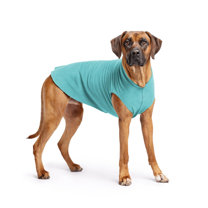 Gold Paw Turquoise Stretch Fleece