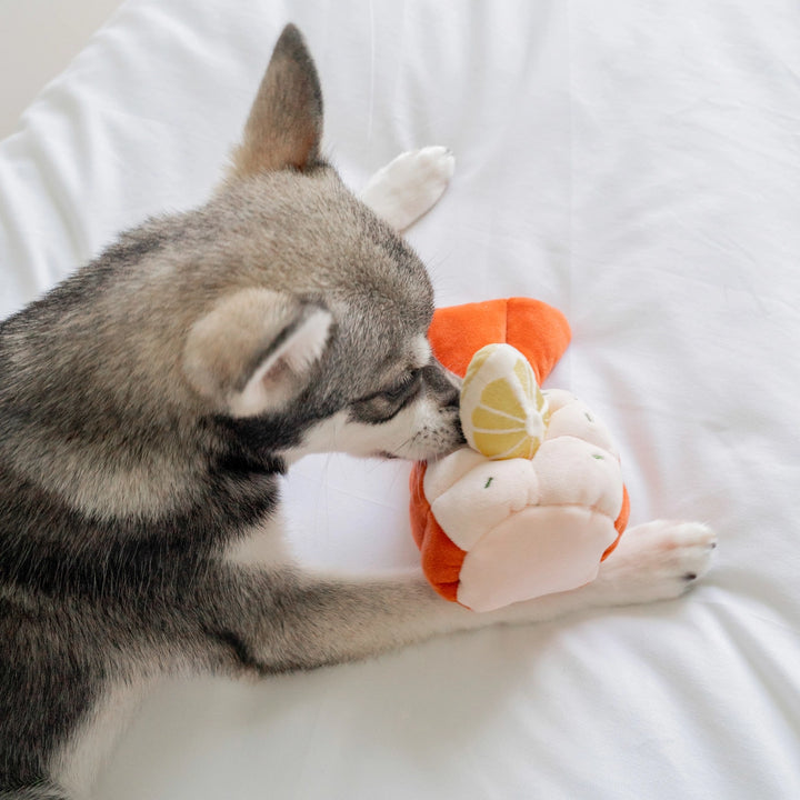 Grilled Lobster Enrichment Dog Toy