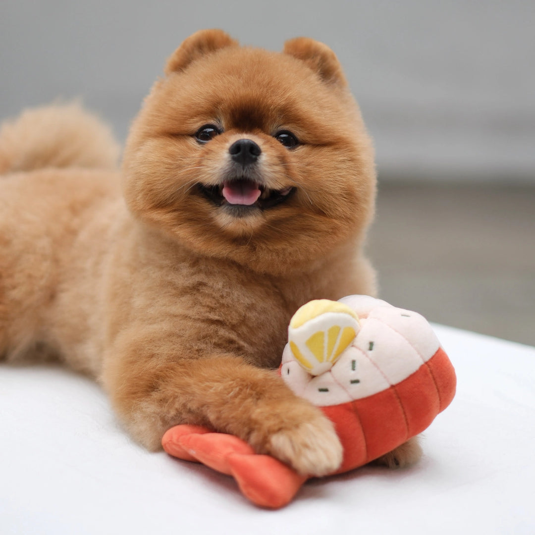 Grilled Lobster Enrichment Dog Toy