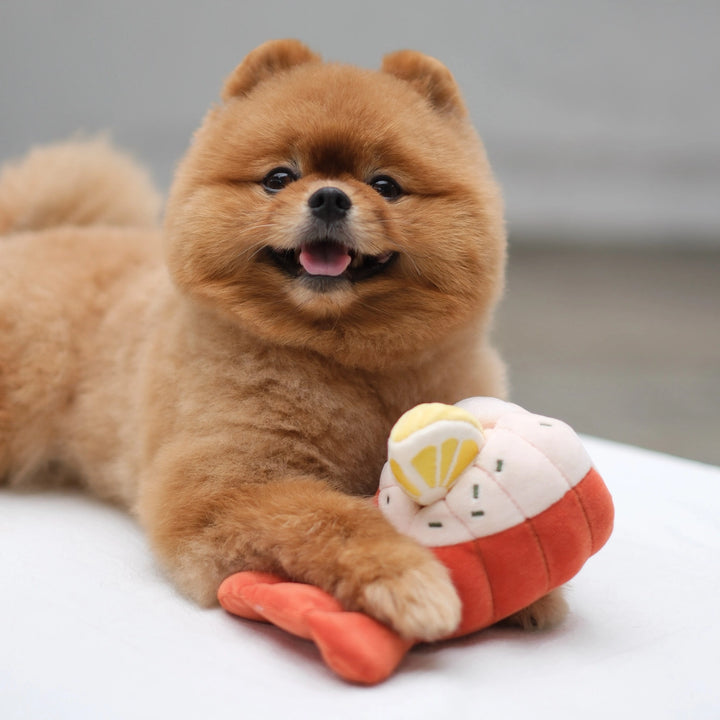 Grilled Lobster Enrichment Dog Toy