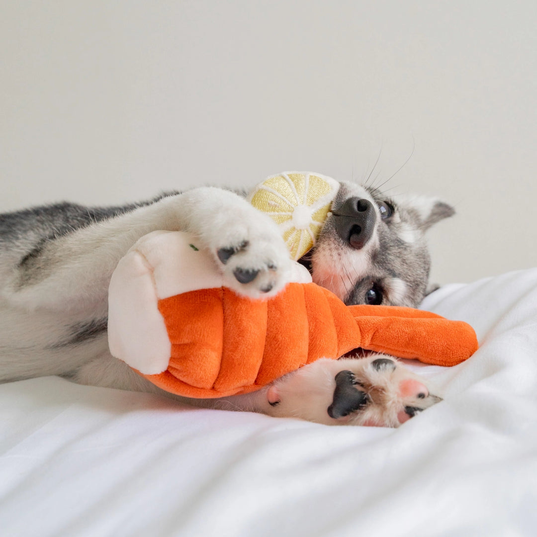 Grilled Lobster Enrichment Dog Toy