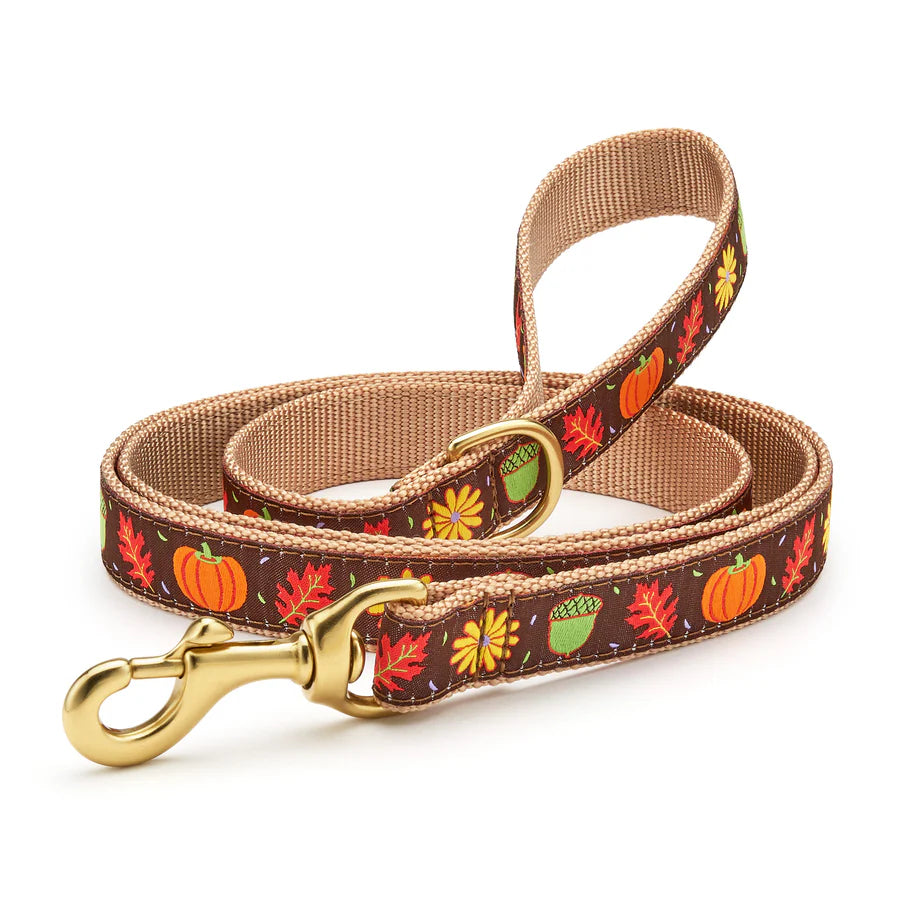 Harvest Time Dog Lead