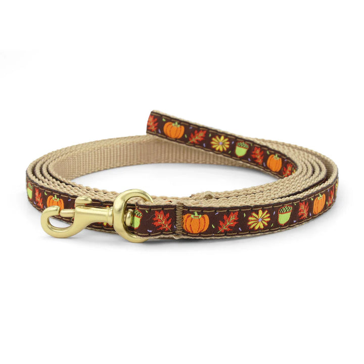 Harvest Time Dog Lead