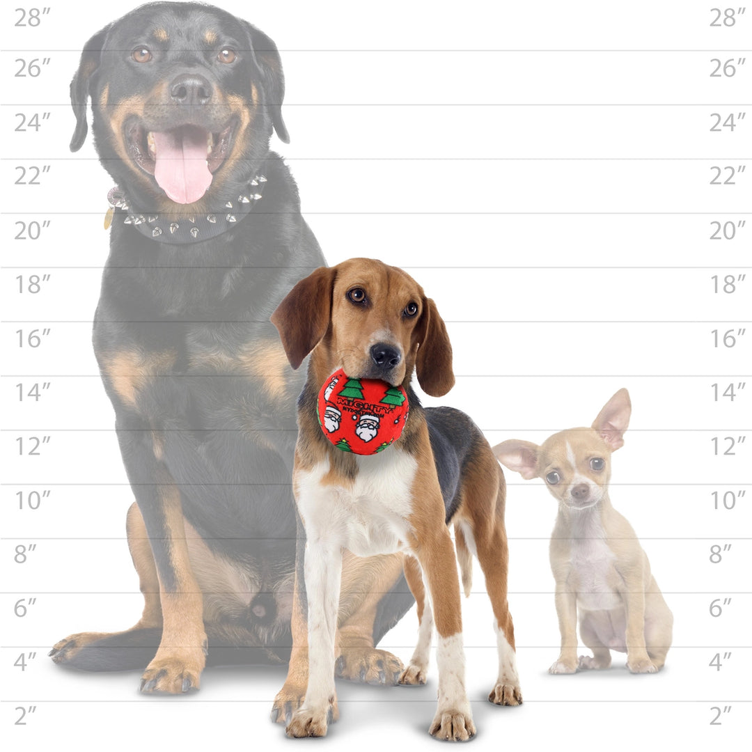 Mighty Christmas Ball