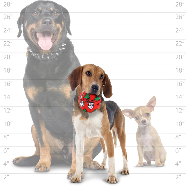 Mighty Christmas Ball