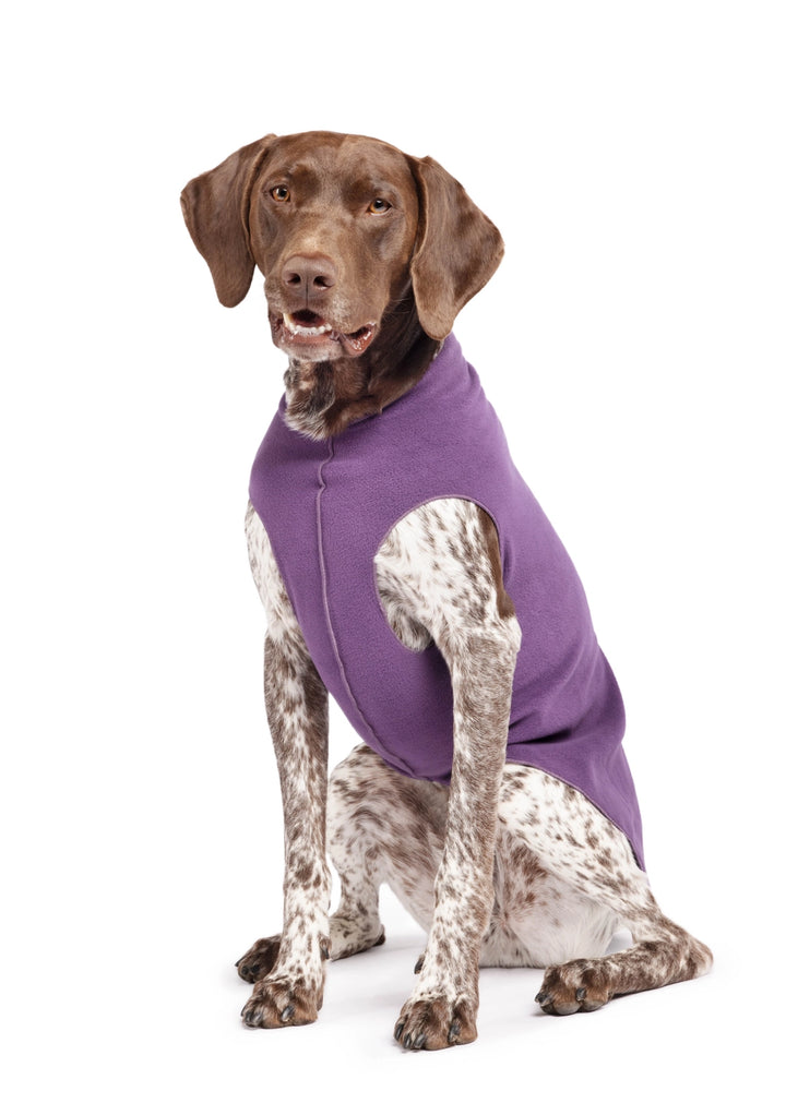 Gold Paw Stretch Fleece - Huckleberry