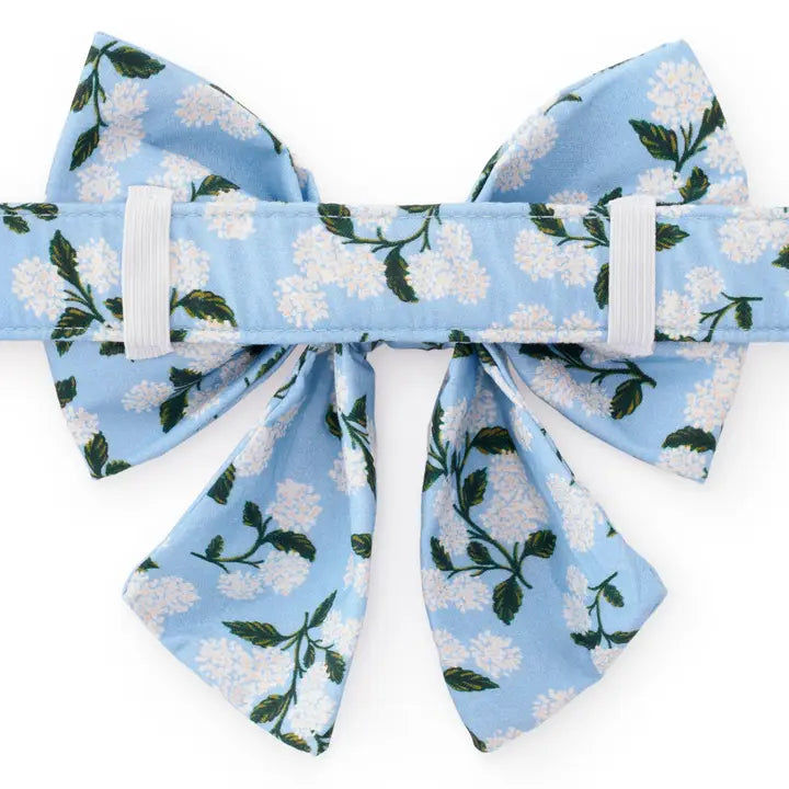 Hydrangea Dog Bow