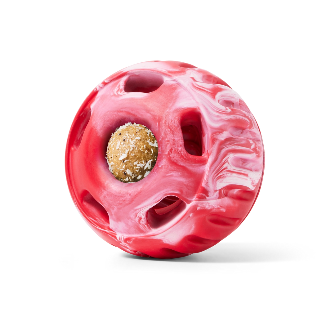 The Holiday Pupsicle Dog Toy - Limited-Edition