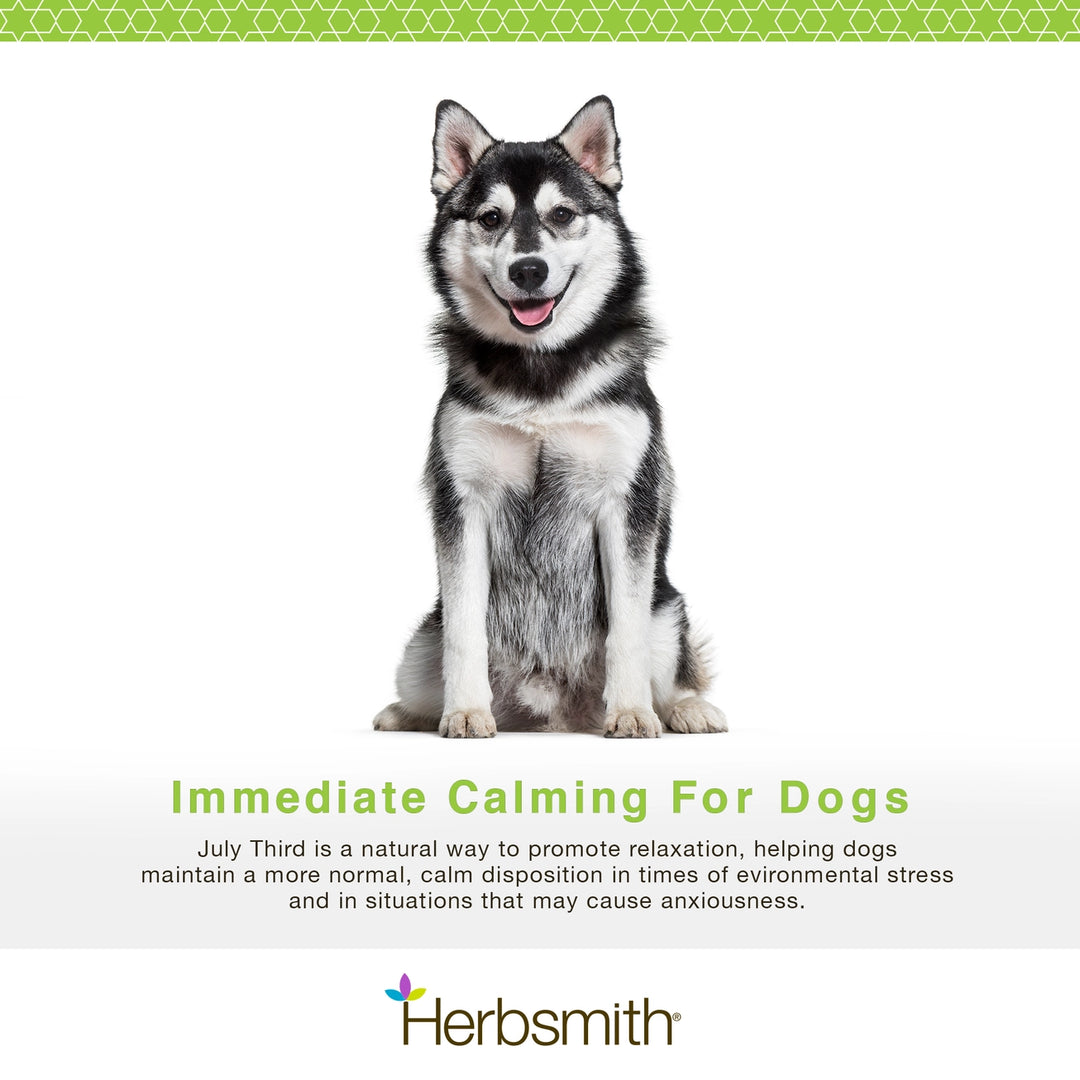 July Third Calming Chews for Dogs