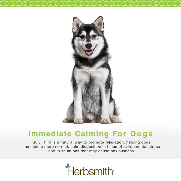 July Third Calming Chews for Dogs