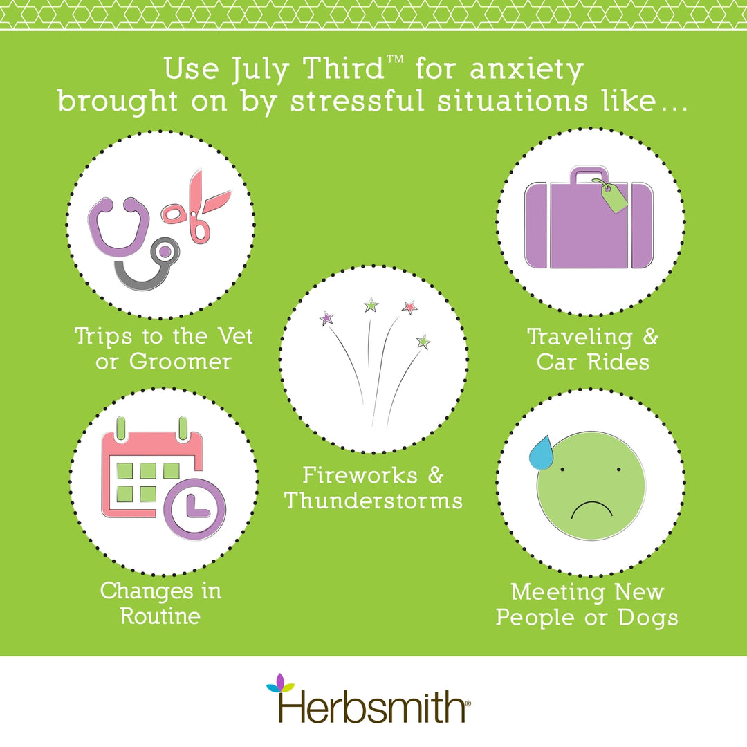July Third Calming Chews for Dogs