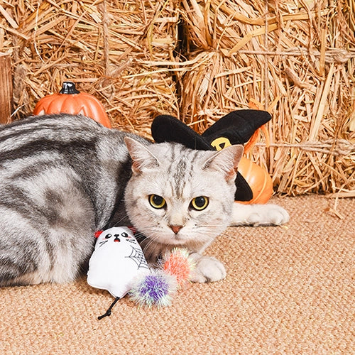 Spooky Ghost Kitty Toy Set