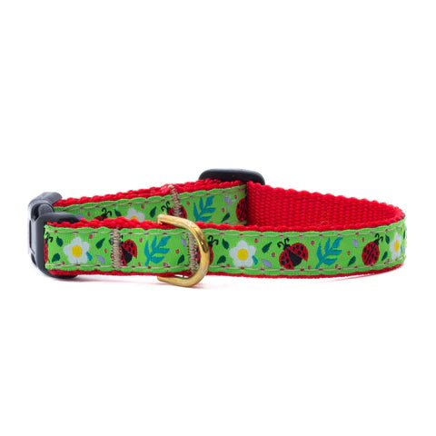 Ladybugs Dog Collar
