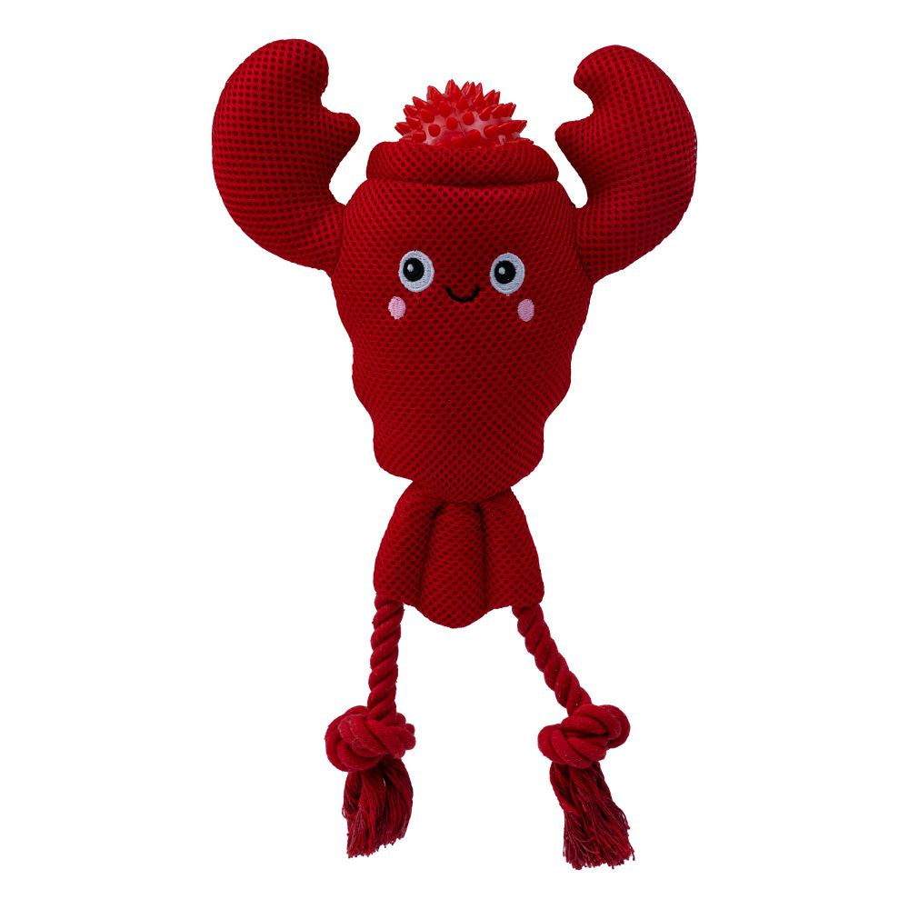 Lobster 2-in-1 Floating Dog Toy