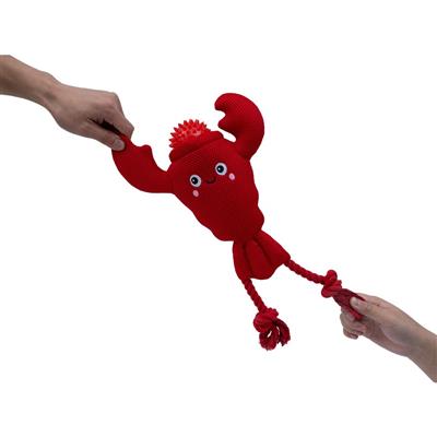 Lobster 2-in-1 Floating Dog Toy