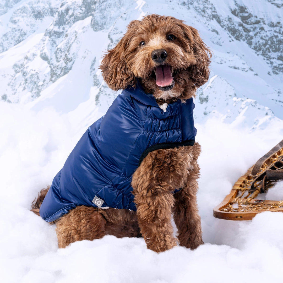 Lunar Glow Parka - Blue