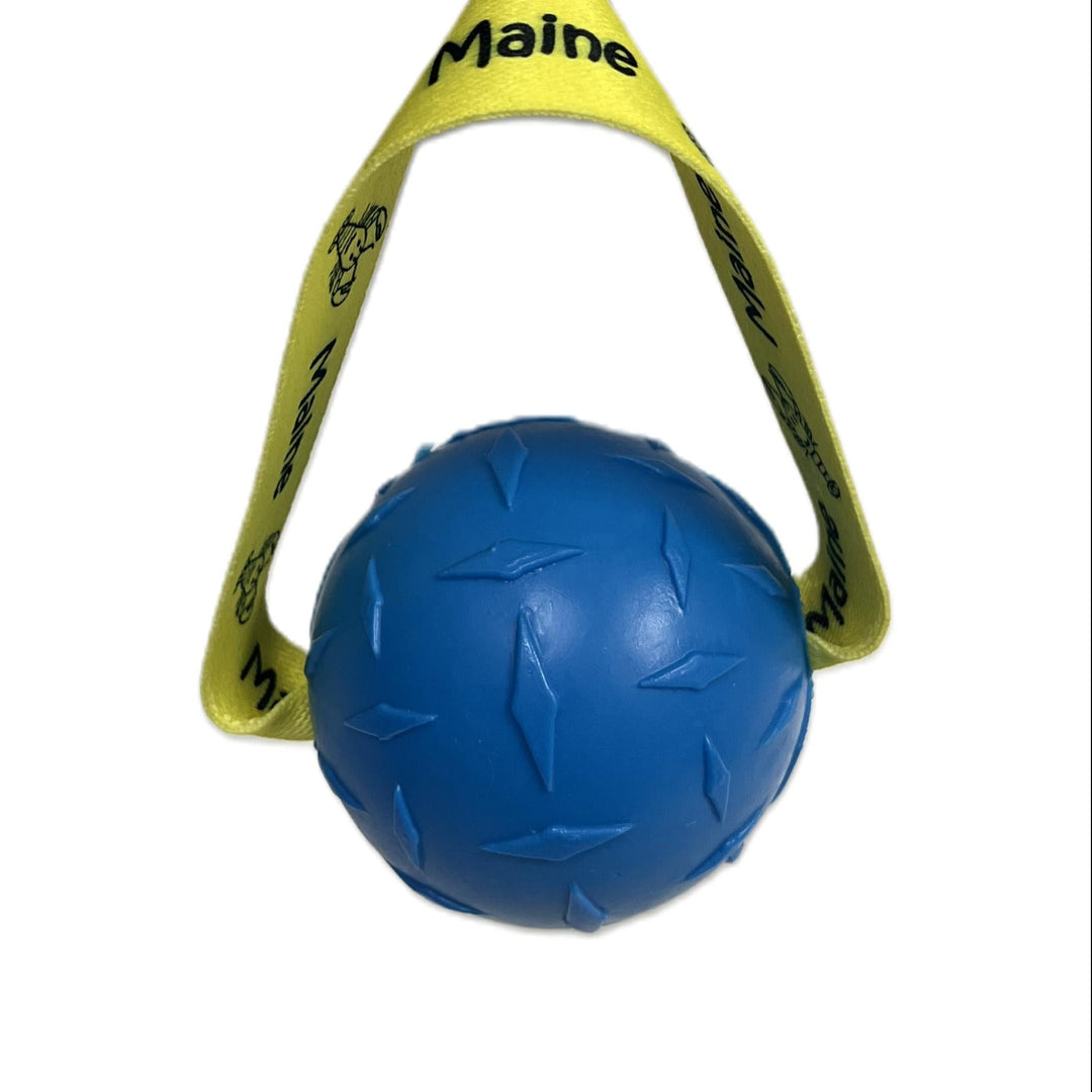 Maine Floating Dog Ball