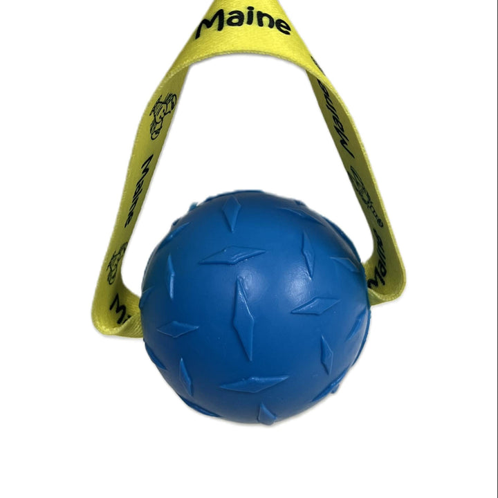 Maine Floating Dog Ball