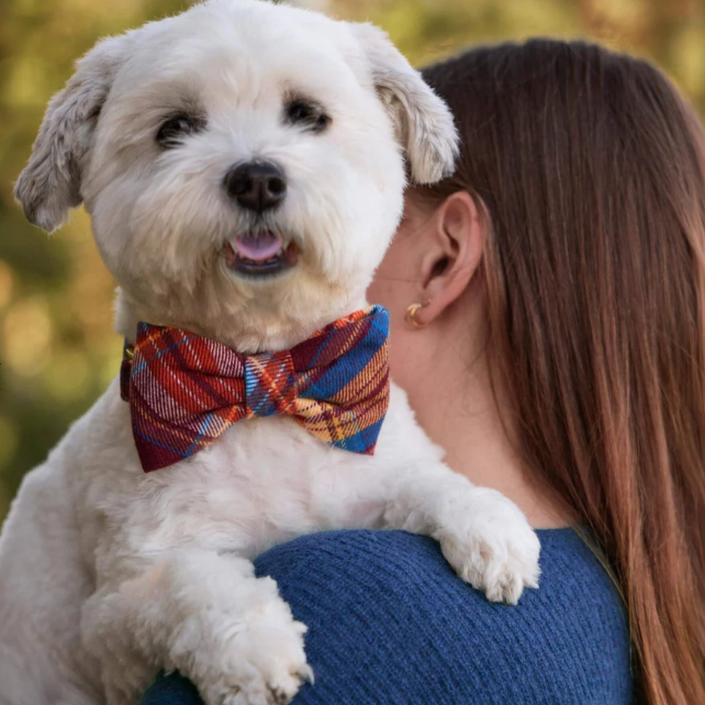 Marlow Plaid Flannel Dog Bow Tie