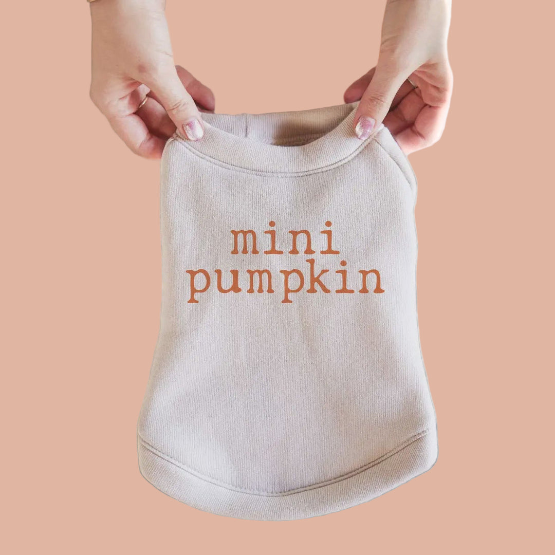 Mini Pumpkin Graphic Pet Sweatshirt