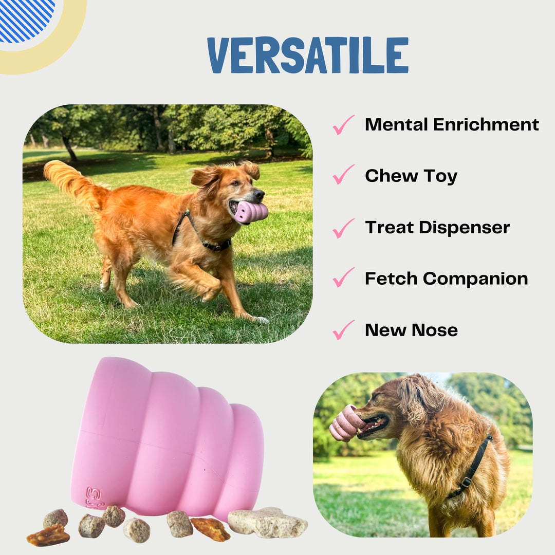 The Oinker Treat Puzzle Dog Toy