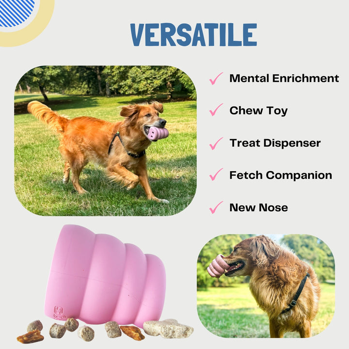 The Oinker Treat Puzzle Dog Toy