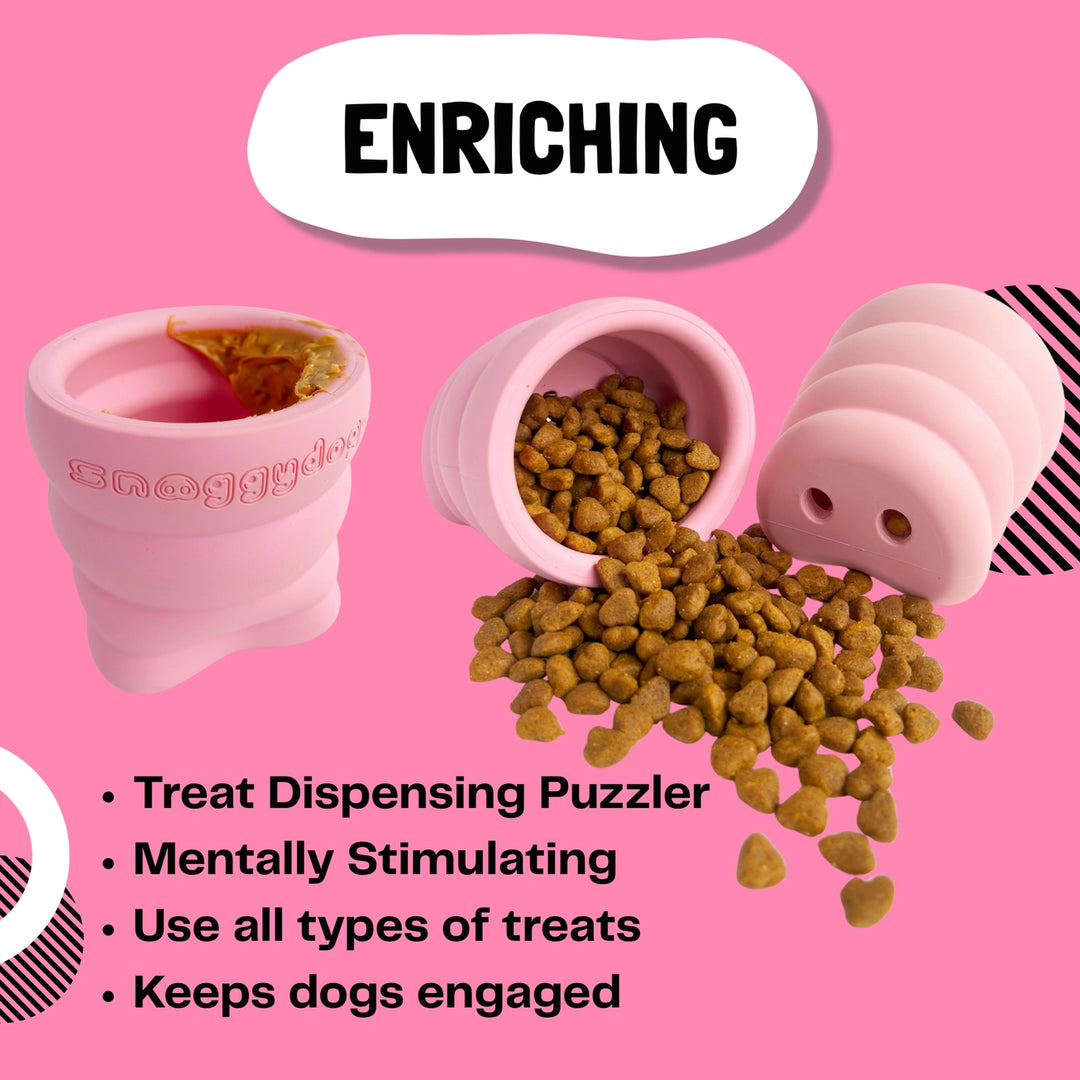 The Oinker Treat Puzzle Dog Toy
