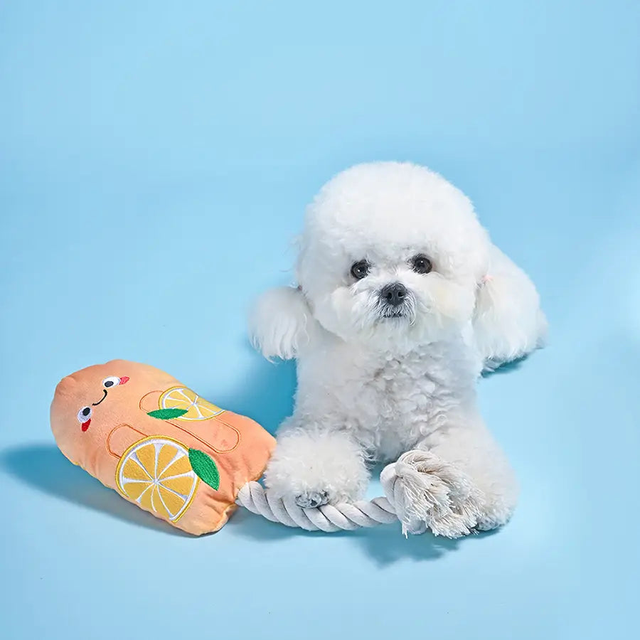 Orange Popsicle Plush Dog Toy