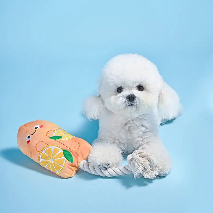 Orange Popsicle Plush Dog Toy