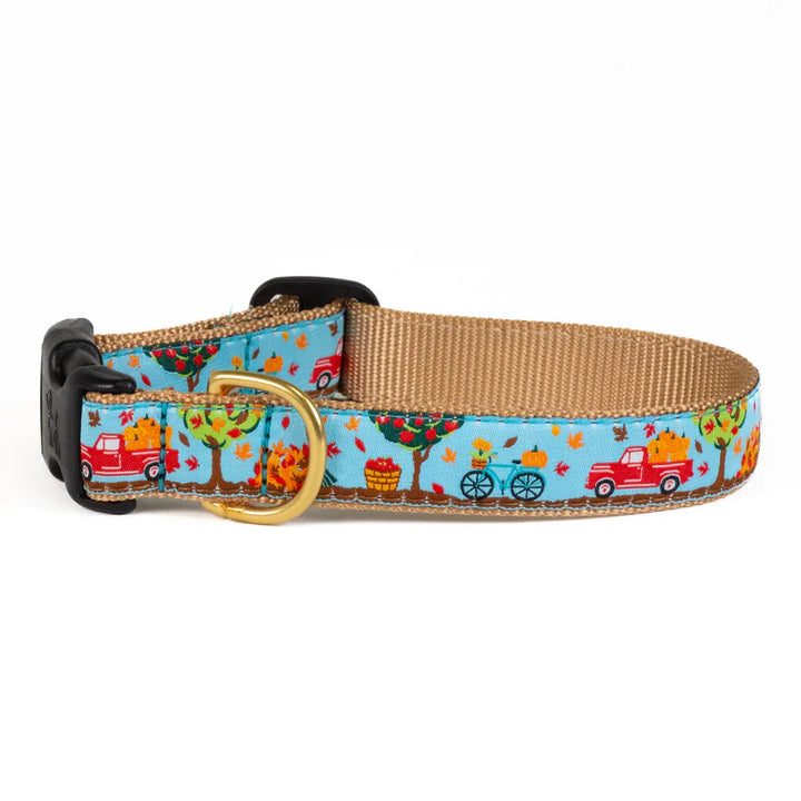 To the Orchard Dog Collar