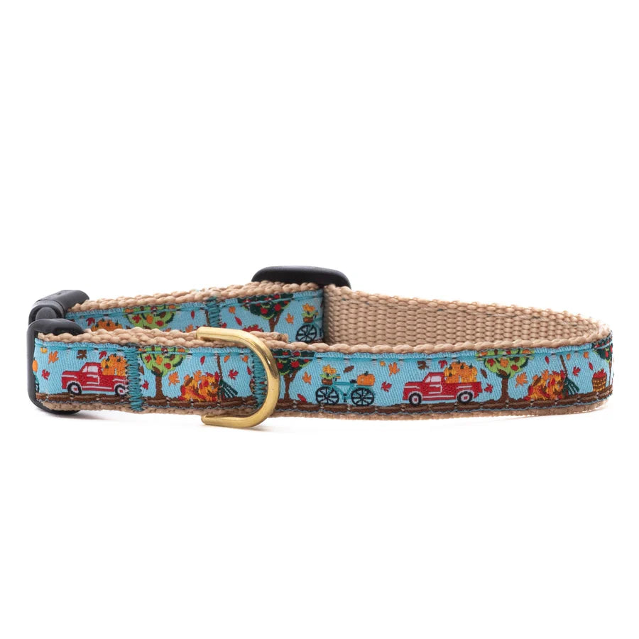 To the Orchard Dog Collar