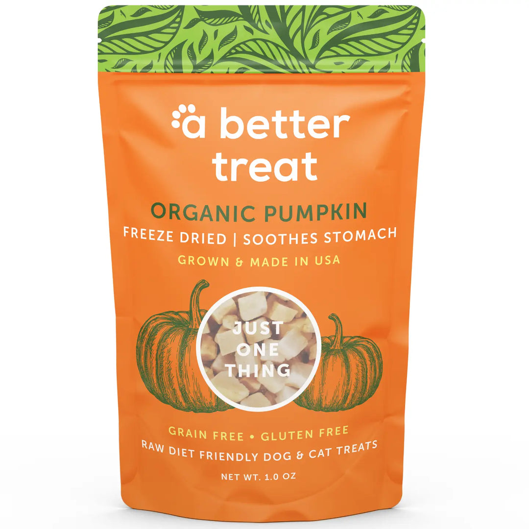 Organic Freeze-Dried Pumpkin Treats for Dogs & Cats