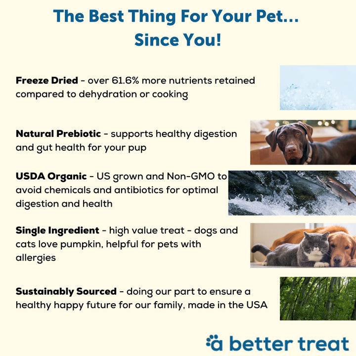 Organic Freeze-Dried Pumpkin Treats for Dogs & Cats
