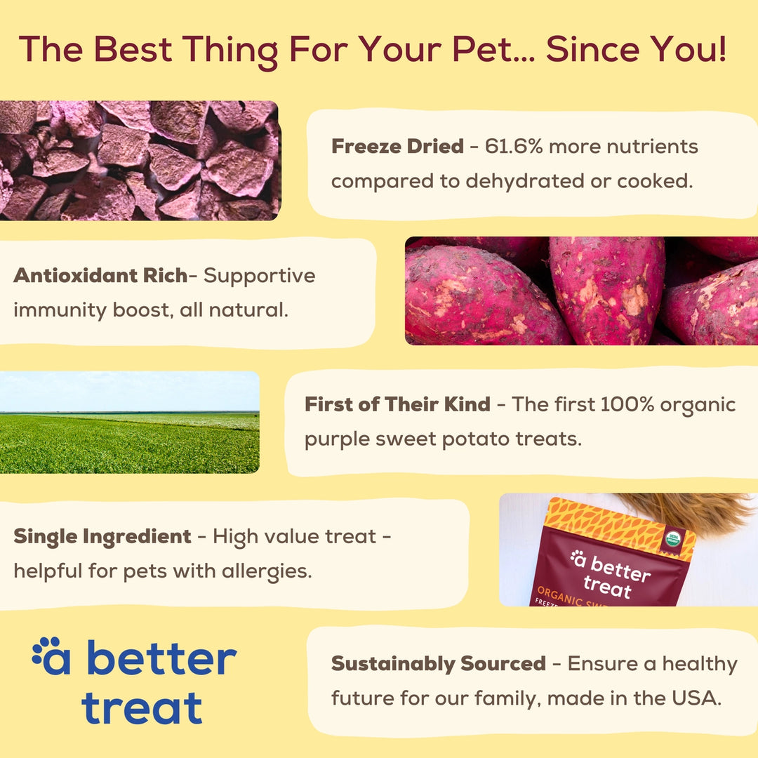 Organic Freeze-Dried Purple Sweet Potato Treats for Dogs & Cats