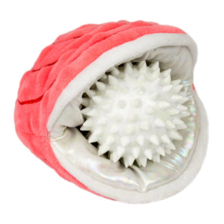 Oyster with Pearl Dog Toy