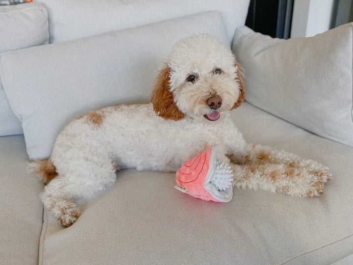 Oyster with Pearl Dog Toy