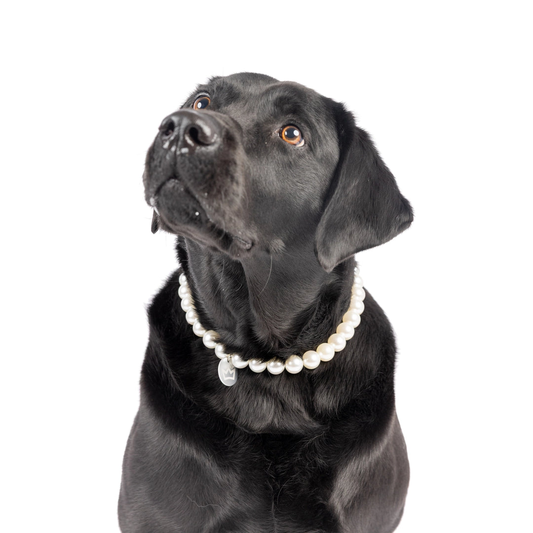 Pearl Beaded Pet Necklace