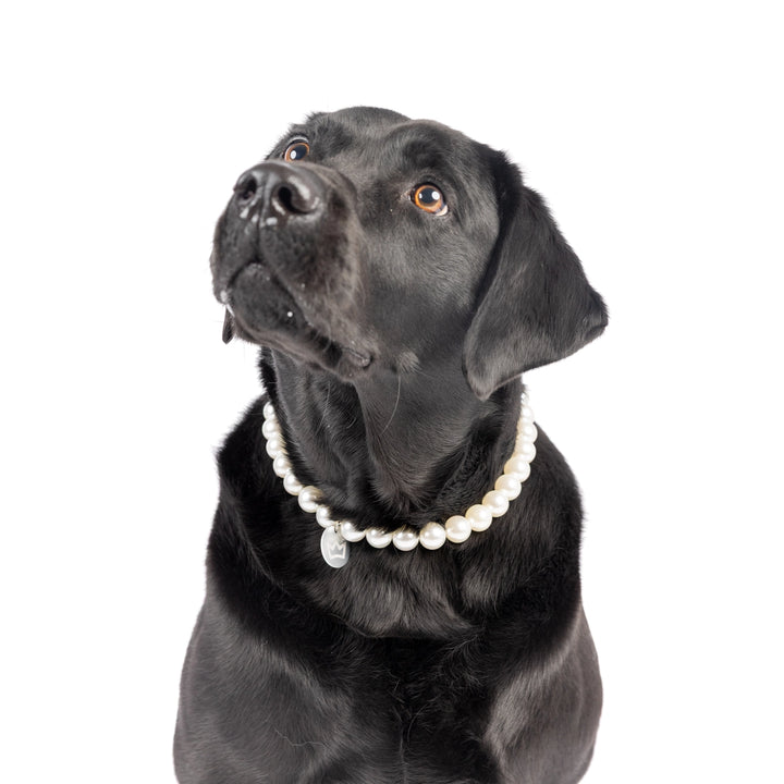 Pearl Beaded Pet Necklace