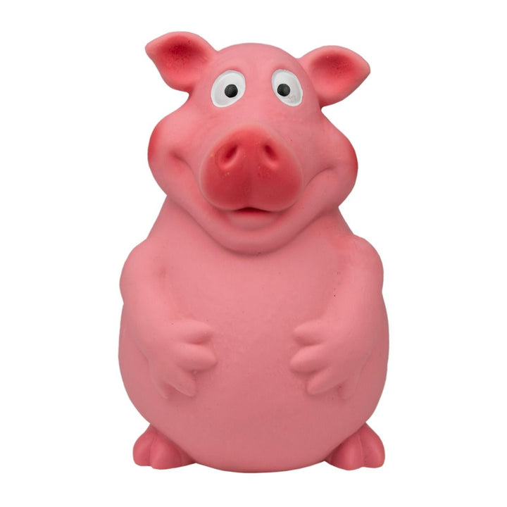 3-in-1 Barn Dog Toy