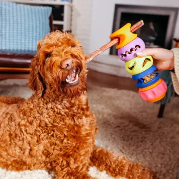 PlayStack Puzzle Dog Toy - The Bully