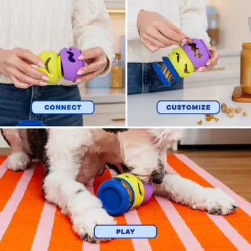 PlayStack Puzzle Dog Toy - The Squiggle