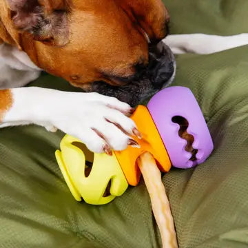 PlayStack Puzzle Dog Toy - The Squiggle
