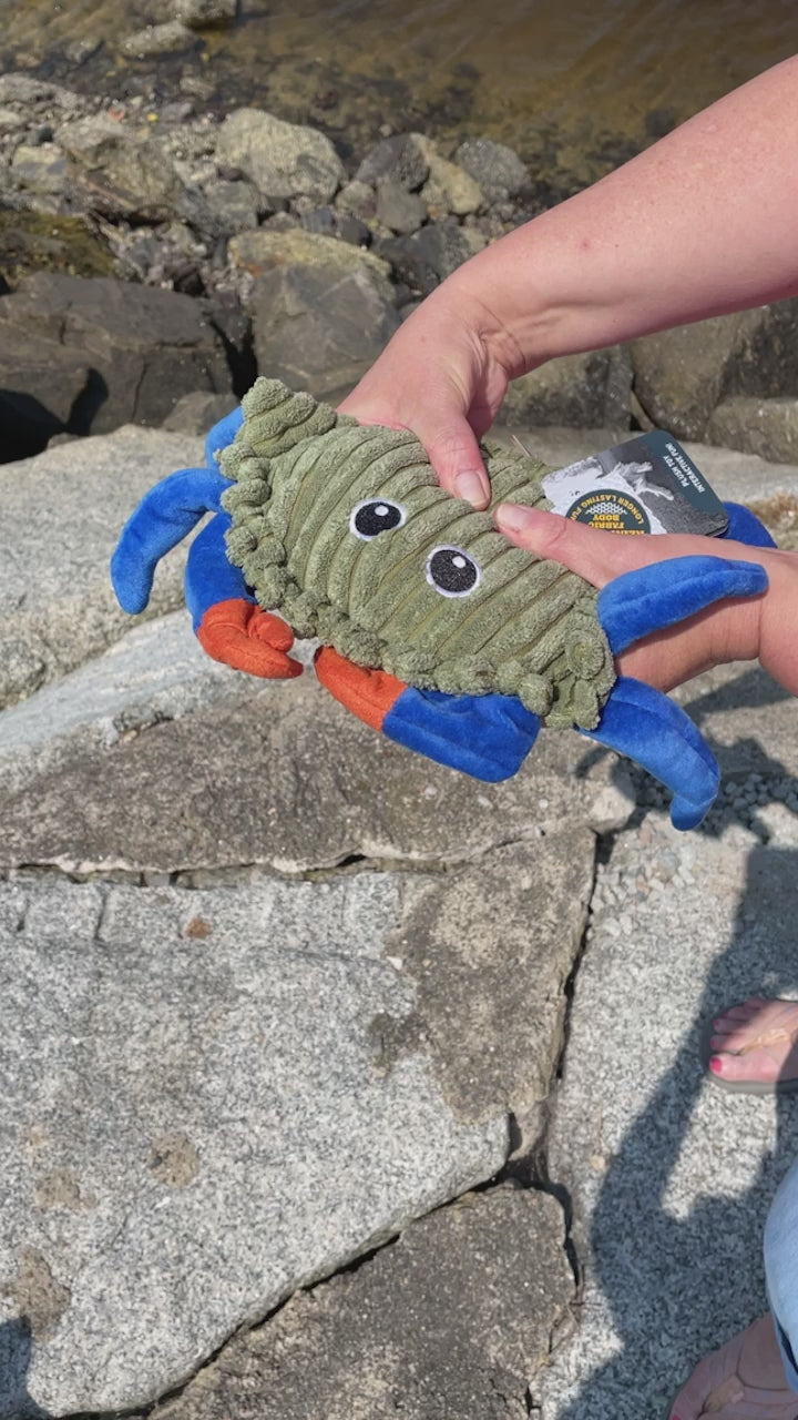 Animated Crab Dog Toy