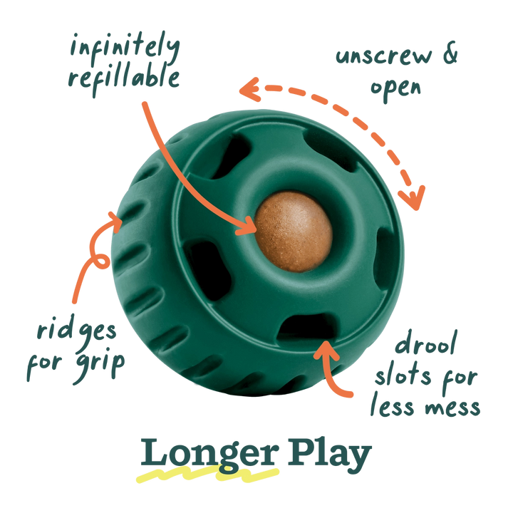 The Pupsicle Dog Toy