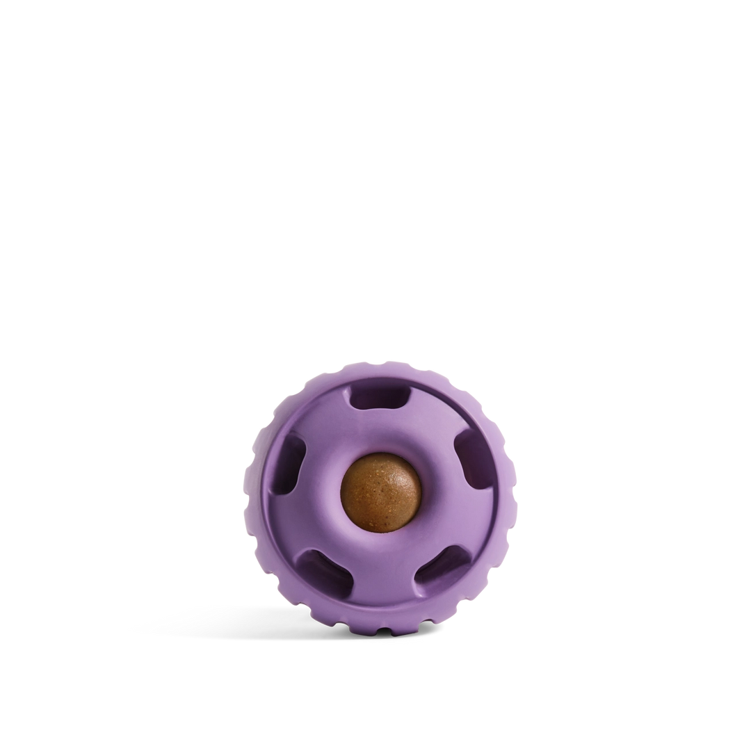 The Pupsicle Dog Toy