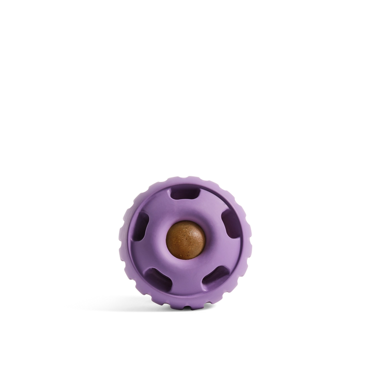The Pupsicle Dog Toy