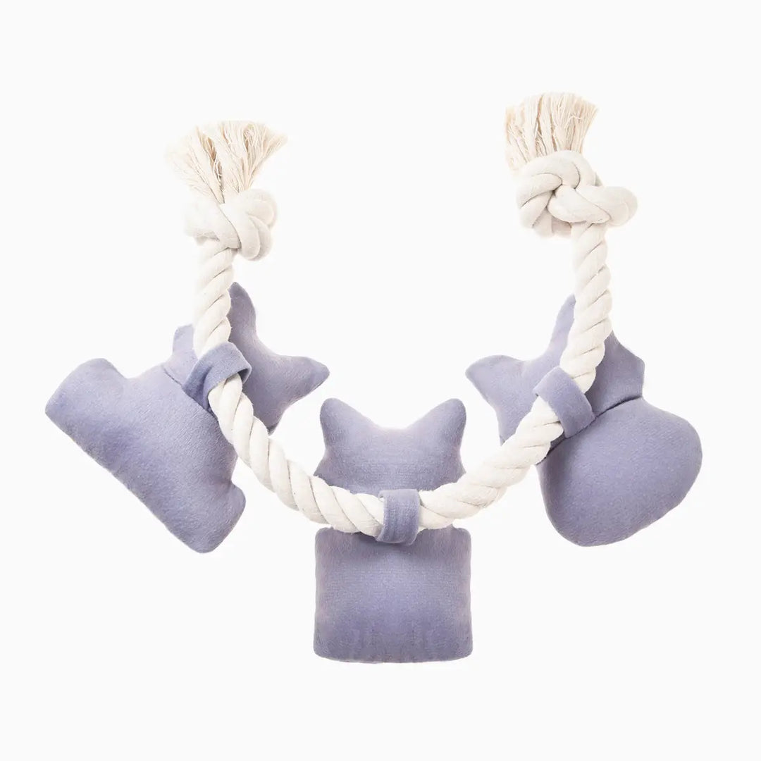 Raccoons Rope Dog Toy