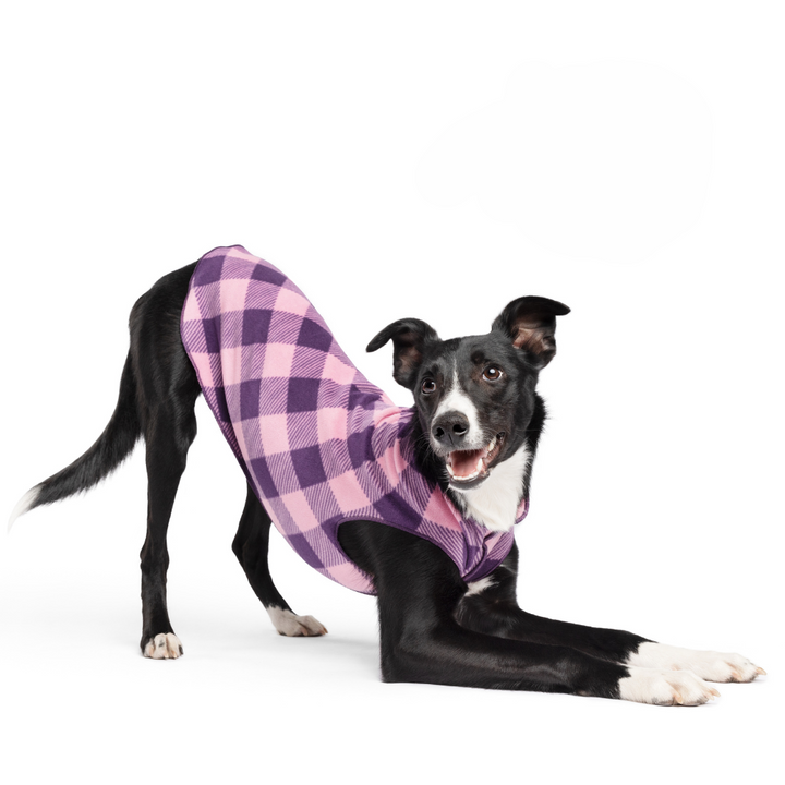 Gold Paw Stretch Fleece - Rose Buffalo Check